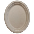 Hot Selling Biodegradable Disposable Sugarcane Food Plates